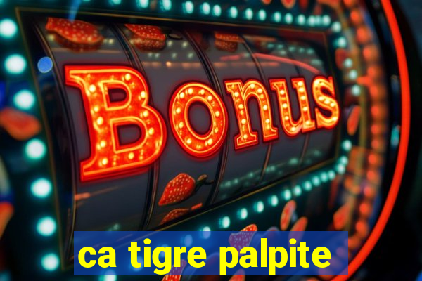 ca tigre palpite