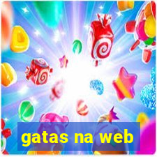 gatas na web