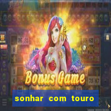 sonhar com touro bravo no mundo espiritual