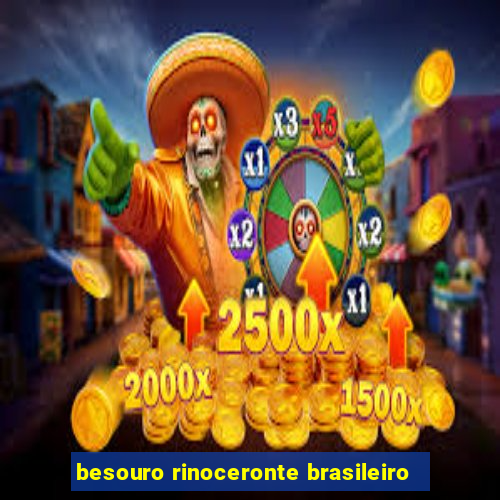 besouro rinoceronte brasileiro