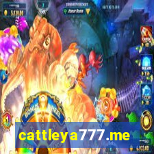 cattleya777.me