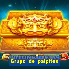 Grupo de palpites de futebol gratis